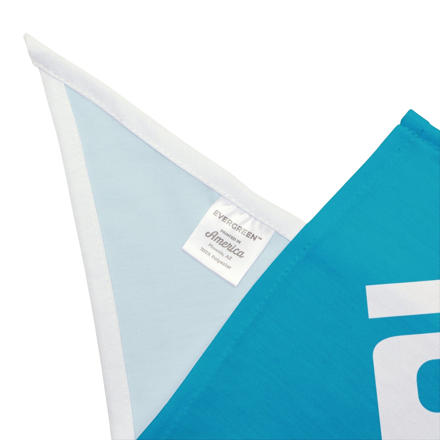 D Pet Bandana Blue