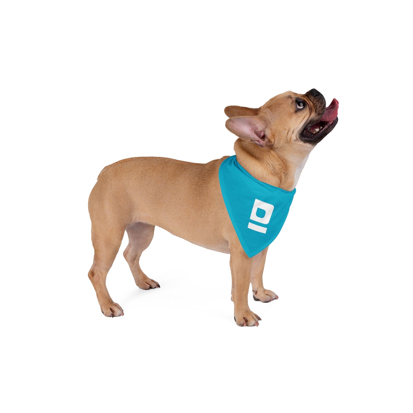 D Pet Bandana Blue
