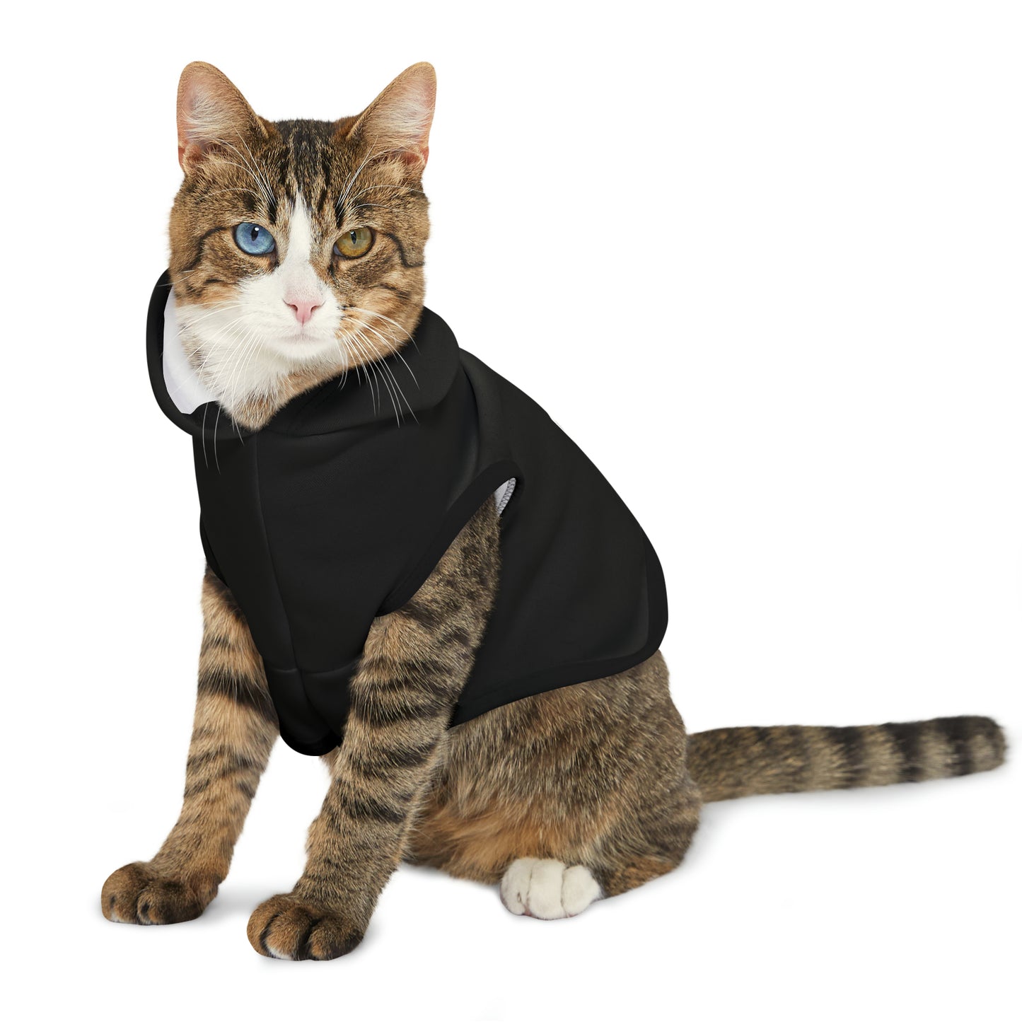Let's Do This Pet Hoodie
