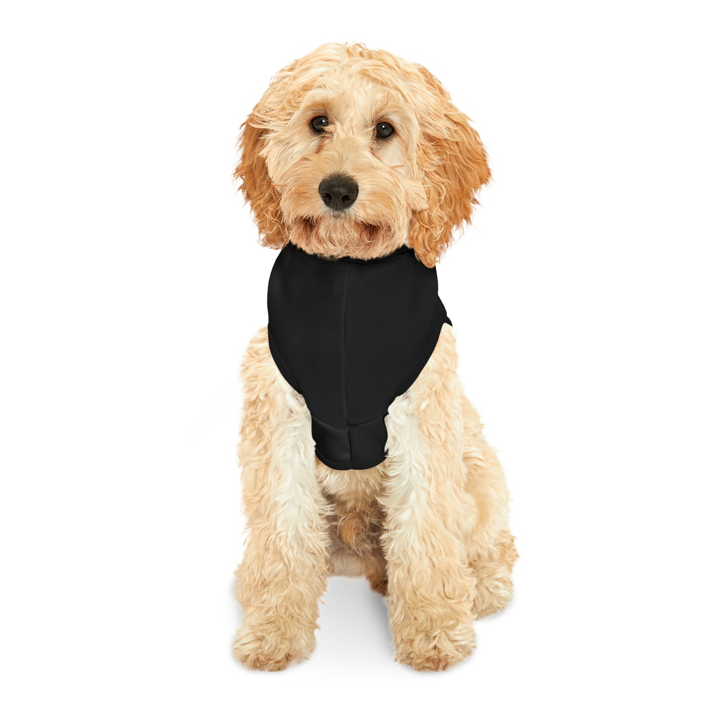 Let's Do This Pet Hoodie