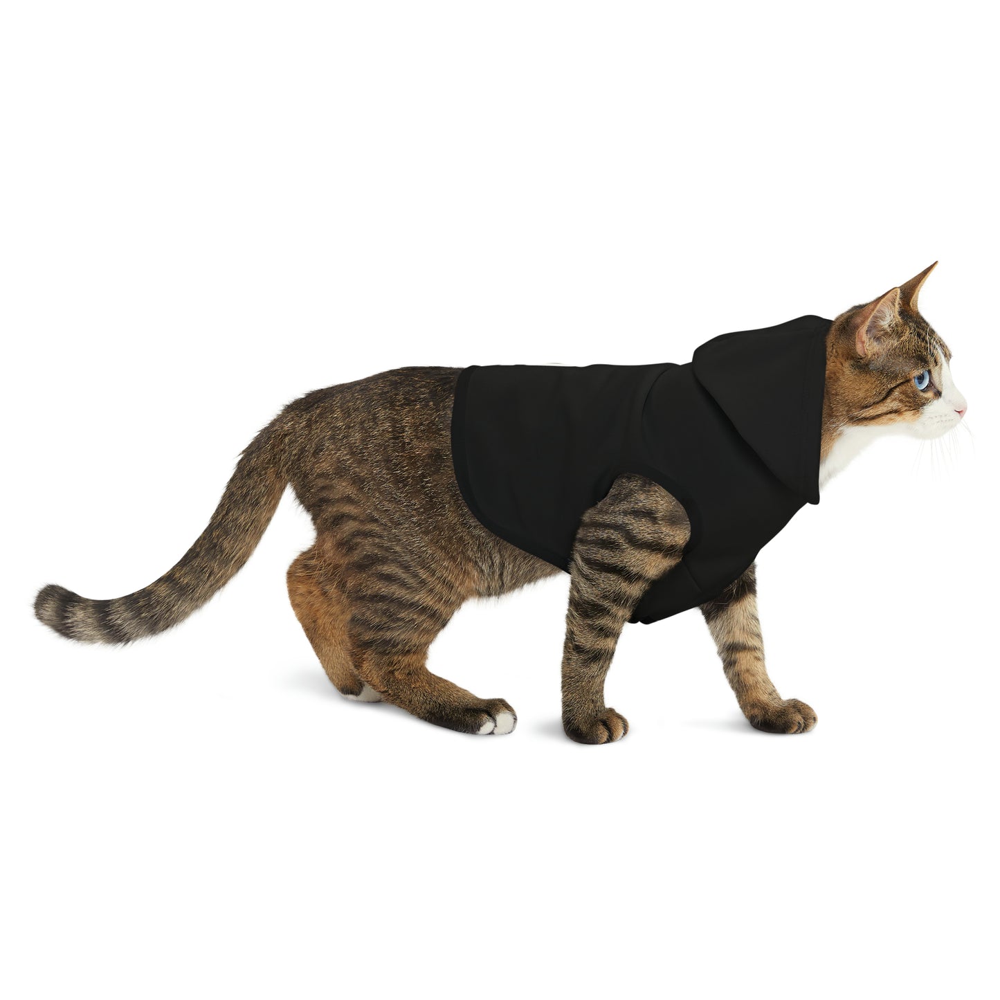 Let's Do This Pet Hoodie