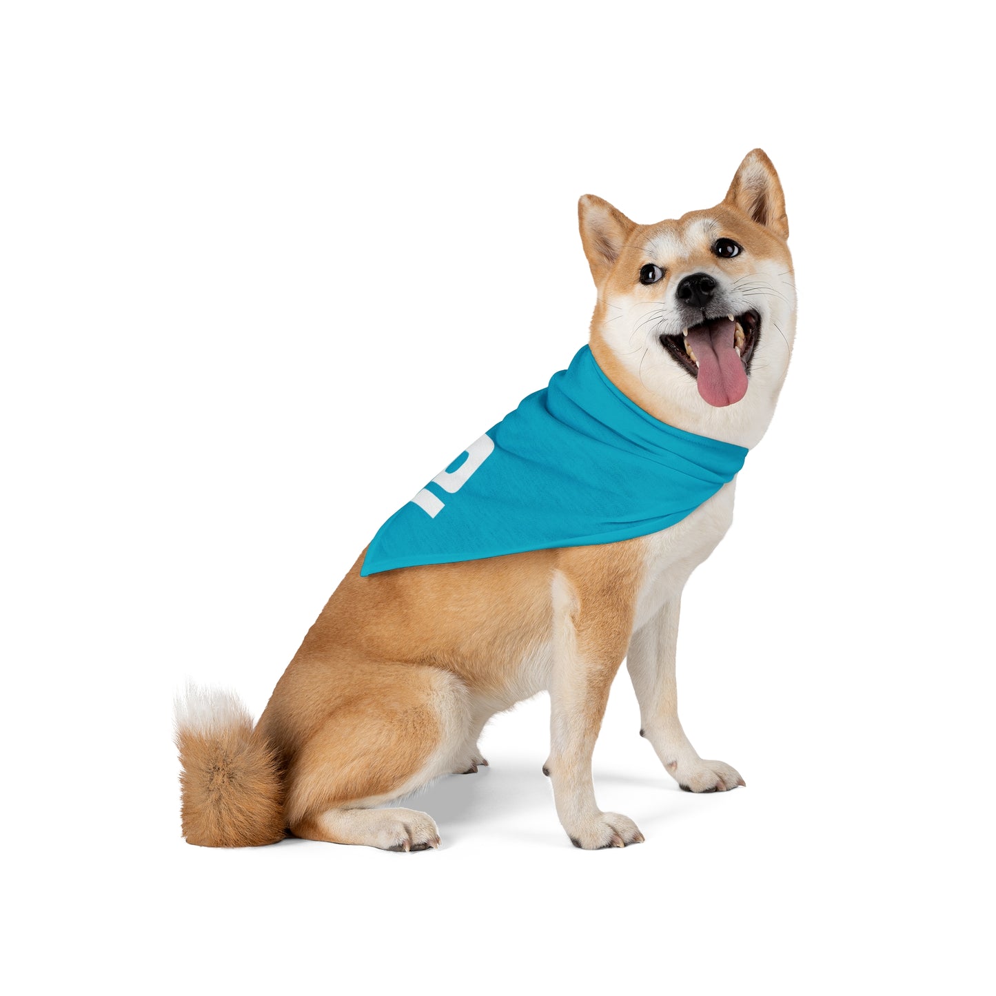 D Pet Bandana Blue