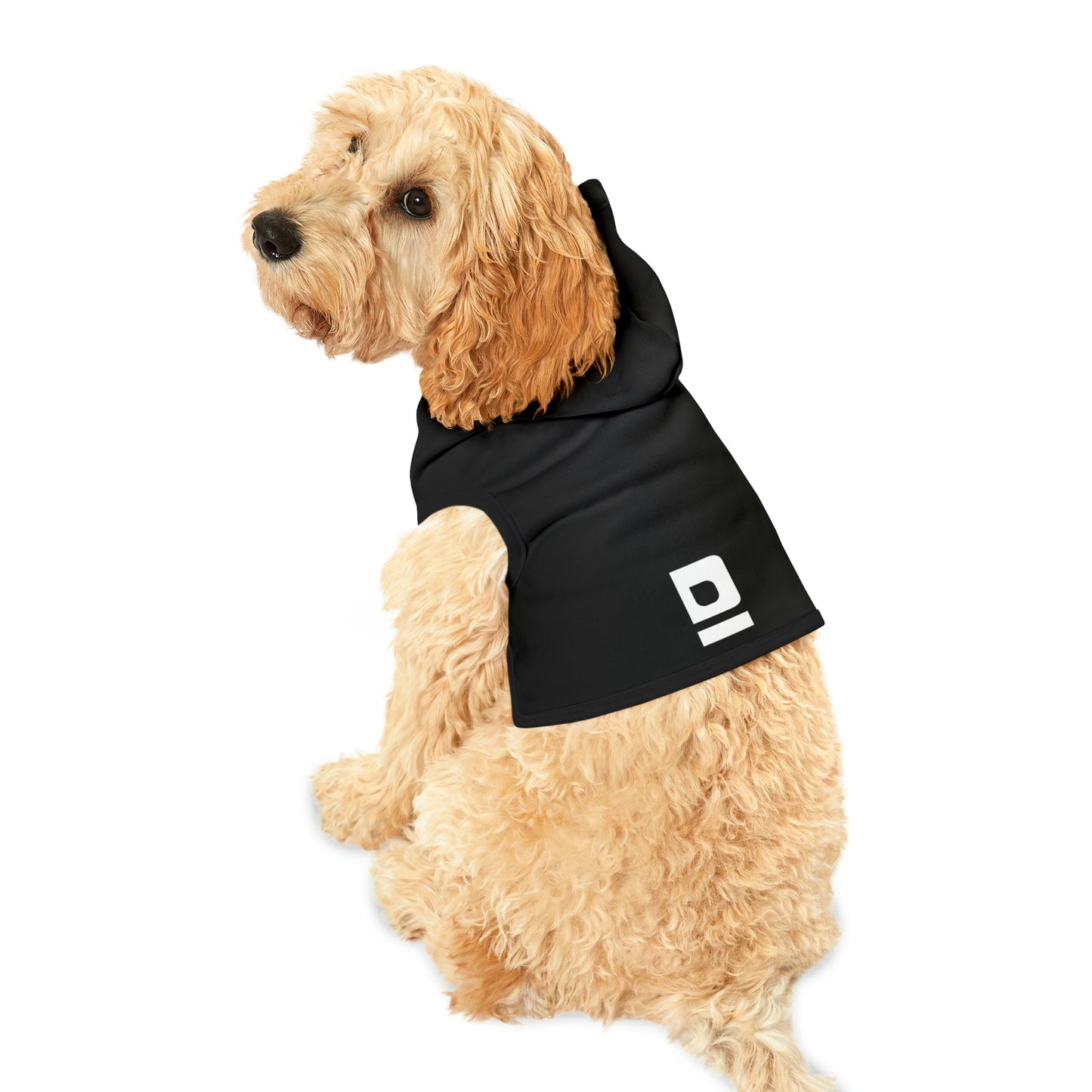 Let's Do This Pet Hoodie