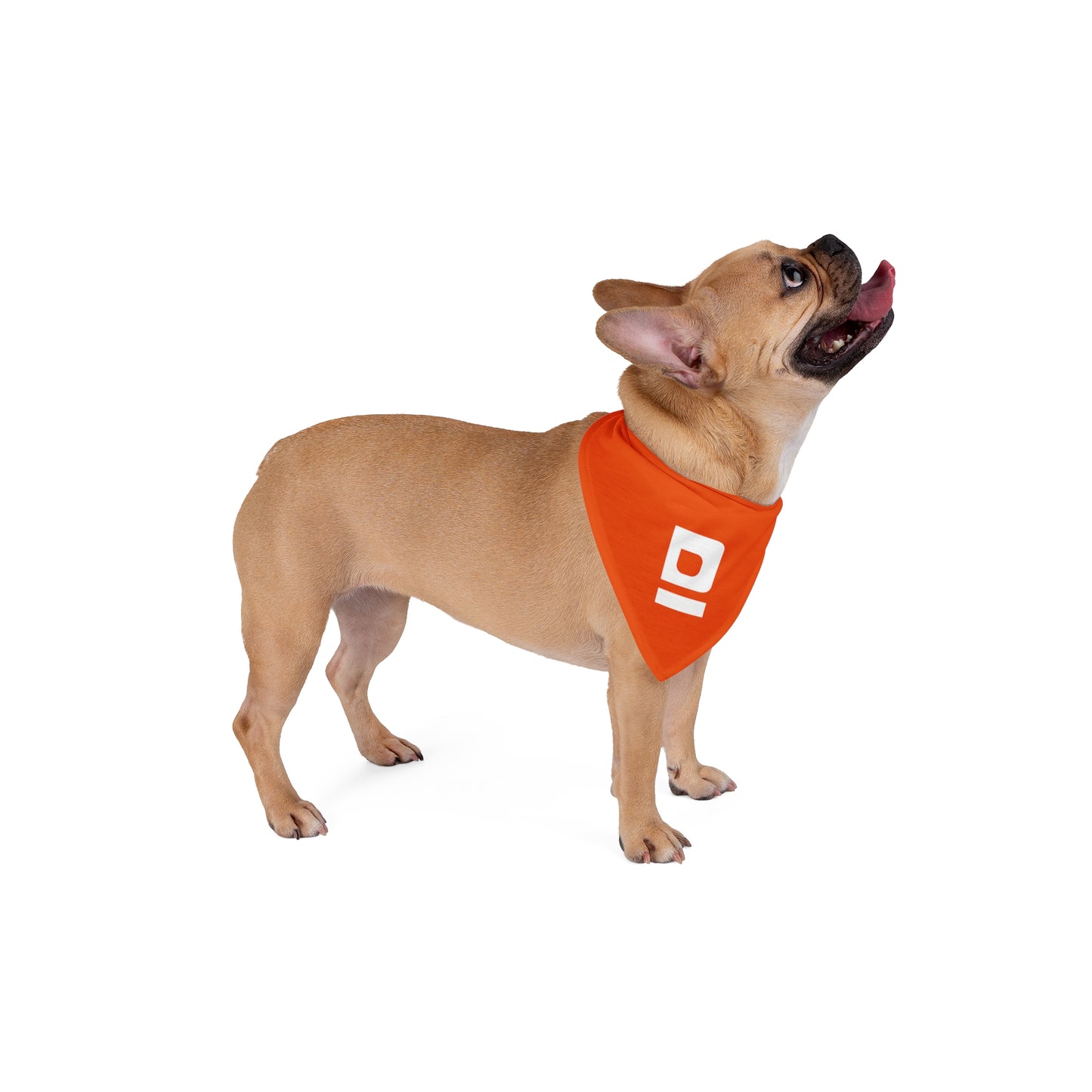 D Pet Bandana Orange