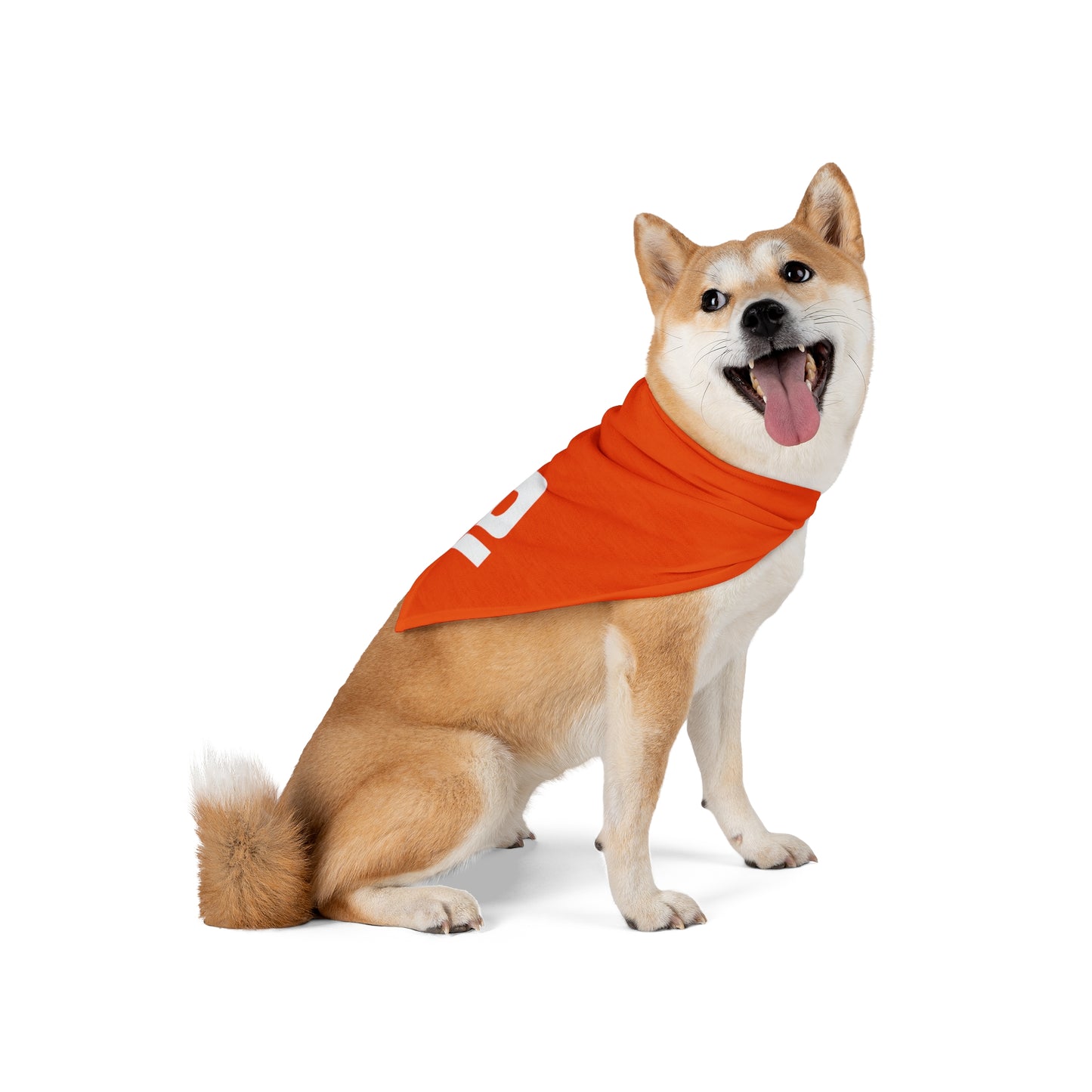 D Pet Bandana Orange